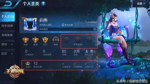 王者不正经爆料视频大全,揭秘爆笑视频背后的搞笑瞬间  第2张